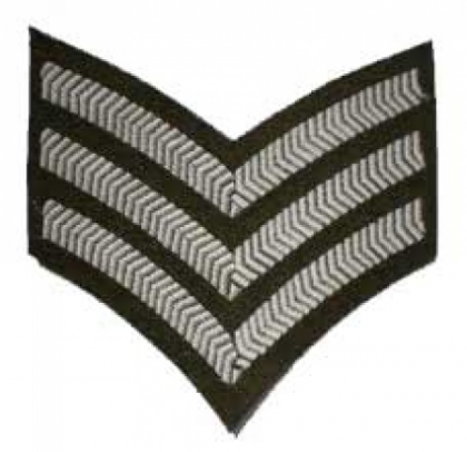 US SLEEVE INSIGNIA